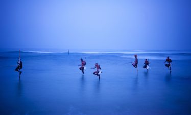Wrecks & Reefs | Snorkeling, Diving & Marine life Tour in Sri Lanka